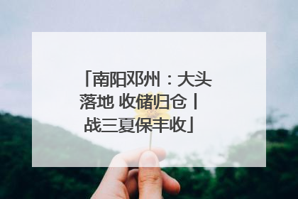 南阳邓州：大头落地 收储归仓丨战三夏保丰收