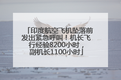 印度航空飞机坠落前发出紧急呼叫！机长飞行经验8200小时，副机长1100小时
