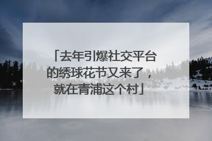 去年引爆社交平台的绣球花节又来了，就在青浦这个村