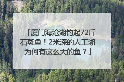 厦门海沧湖钓起72斤石斑鱼！2米深的人工湖为何有这么大的鱼？