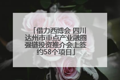 借力西博会 四川达州市重点产业融圈强链投资推介会上签约58个项目