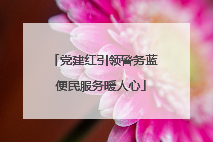 党建红引领警务蓝 便民服务暖人心