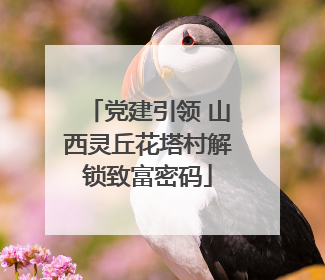 党建引领 山西灵丘花塔村解锁致富密码