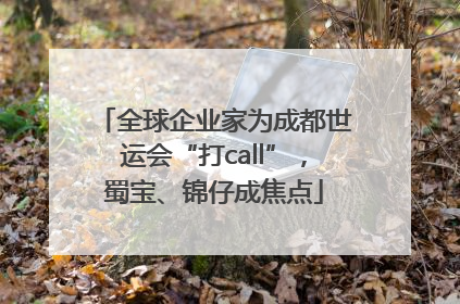 全球企业家为成都世运会“打call”，蜀宝、锦仔成焦点