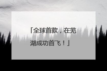 全球首款，在芜湖成功首飞！