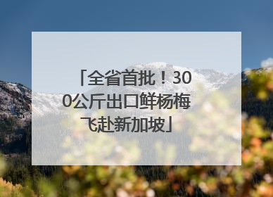 全省首批！300公斤出口鲜杨梅飞赴新加坡