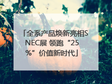 全系产品焕新亮相SNEC展 领跑“25%”价值新时代