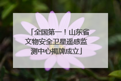 全国第一！山东省文物安全卫星遥感监测中心揭牌成立