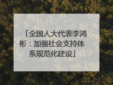 全国人大代表李鸿彬：加强社会支持体系规范化建设