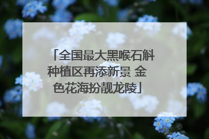 全国最大黑喉石斛种植区再添新景 金色花海扮靓龙陵