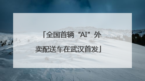 全国首辆“AI”外卖配送车在武汉首发