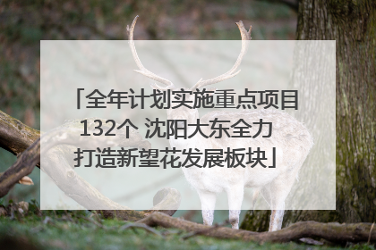 全年计划实施重点项目132个 沈阳大东全力打造新望花发展板块