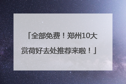 全部免费！郑州10大赏荷好去处推荐来啦！