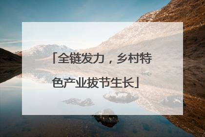 全链发力，乡村特色产业拔节生长