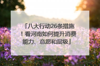 八大行动26条措施！看河南如何提升消费能力、意愿和层级