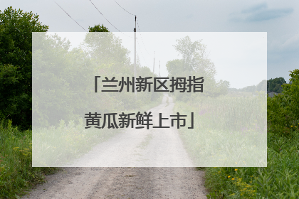 兰州新区拇指黄瓜新鲜上市