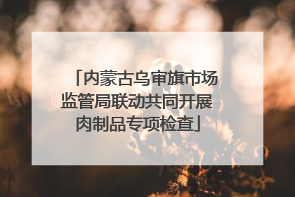 内蒙古乌审旗市场监管局联动共同开展肉制品专项检查