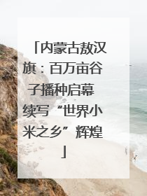 内蒙古敖汉旗：百万亩谷子播种启幕 续写“世界小米之乡”辉煌