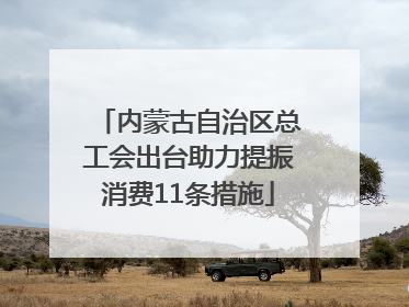 内蒙古自治区总工会出台助力提振消费11条措施