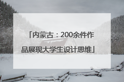 内蒙古：200余件作品展现大学生设计思维