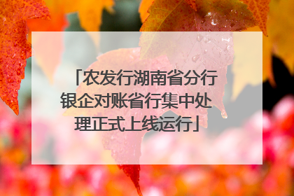 农发行湖南省分行银企对账省行集中处理正式上线运行