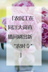 农民工在同江大岗直播间刷出新“农时令”