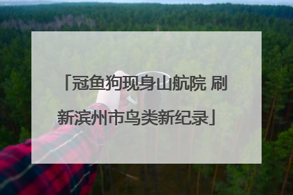 冠鱼狗现身山航院 刷新滨州市鸟类新纪录