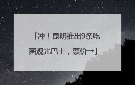 冲！昆明推出9条吃菌观光巴士，票价→