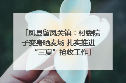 凤县留凤关镇：村委院子变身晒麦场 扎实推进“三夏”抢收工作