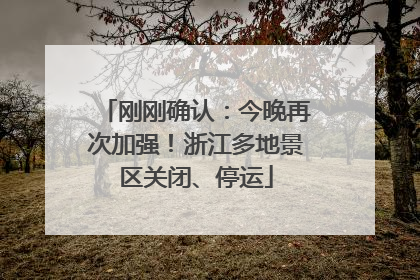 刚刚确认：今晚再次加强！浙江多地景区关闭、停运