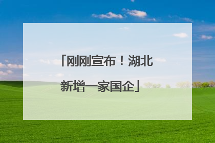 刚刚宣布！湖北新增一家国企
