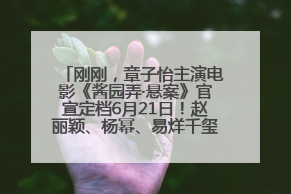刚刚，章子怡主演电影《酱园弄·悬案》官宣定档6月21日！赵丽颖、杨幂、易烊千玺等角色海报曝光