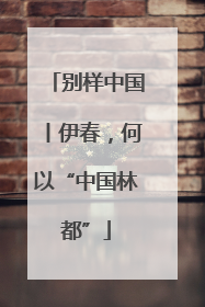 别样中国丨伊春，何以“中国林都”