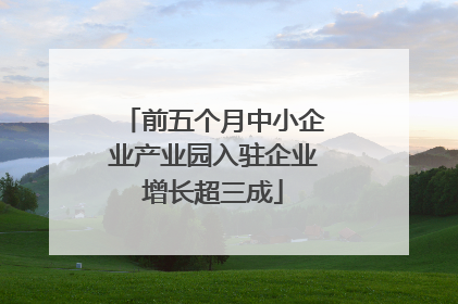 前五个月中小企业产业园入驻企业增长超三成