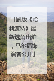 剧版《哈利波特》最新选角出炉，马尔福饰演者公开