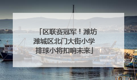 区联赛冠军！潍坊潍城区北门大街小学排球小将扣响未来