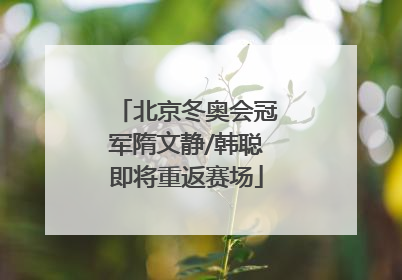 北京冬奥会冠军隋文静/韩聪即将重返赛场