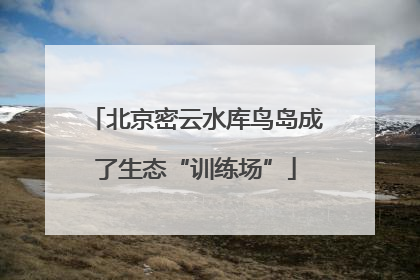北京密云水库鸟岛成了生态“训练场”