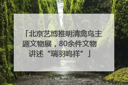 北京艺博推明清禽鸟主题文物展，80余件文物讲述“瑞羽鸣祥”