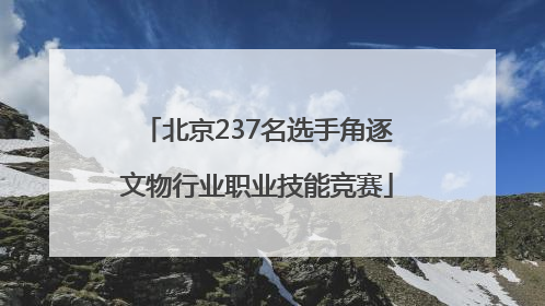 北京237名选手角逐文物行业职业技能竞赛