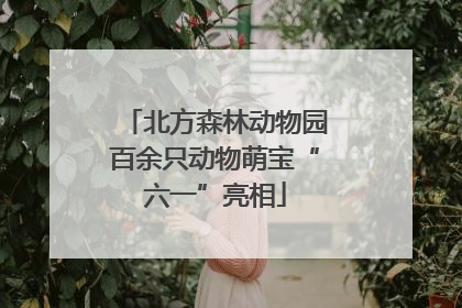 北方森林动物园百余只动物萌宝“六一”亮相