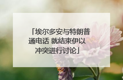 埃尔多安与特朗普通电话 就结束伊以冲突进行讨论