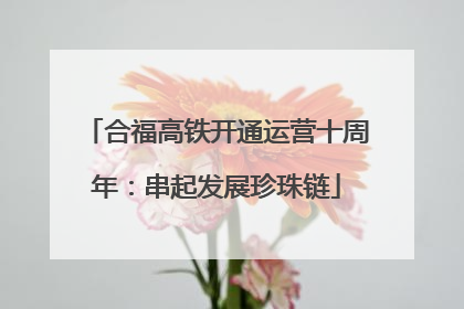 合福高铁开通运营十周年：串起发展珍珠链