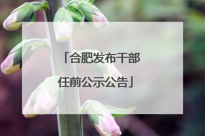合肥发布干部任前公示公告