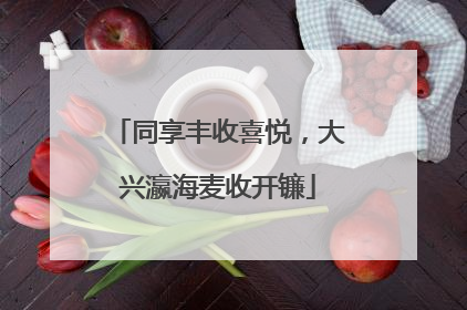 同享丰收喜悦，大兴瀛海麦收开镰