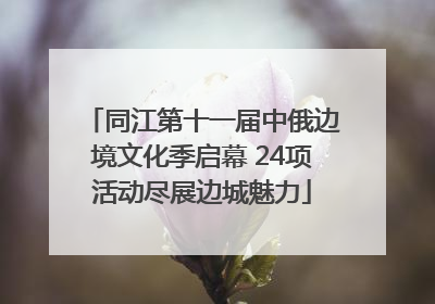同江第十一届中俄边境文化季启幕 24项活动尽展边城魅力