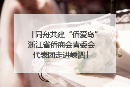 同舟共建“侨爱岛” 浙江省侨商会青委会代表团走进嵊泗