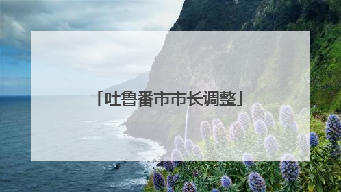 吐鲁番市市长调整