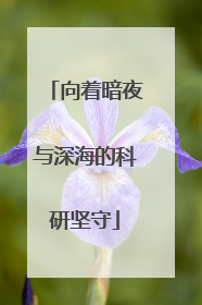 向着暗夜与深海的科研坚守