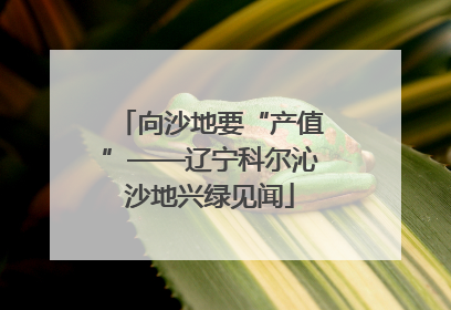 向沙地要“产值”——辽宁科尔沁沙地兴绿见闻